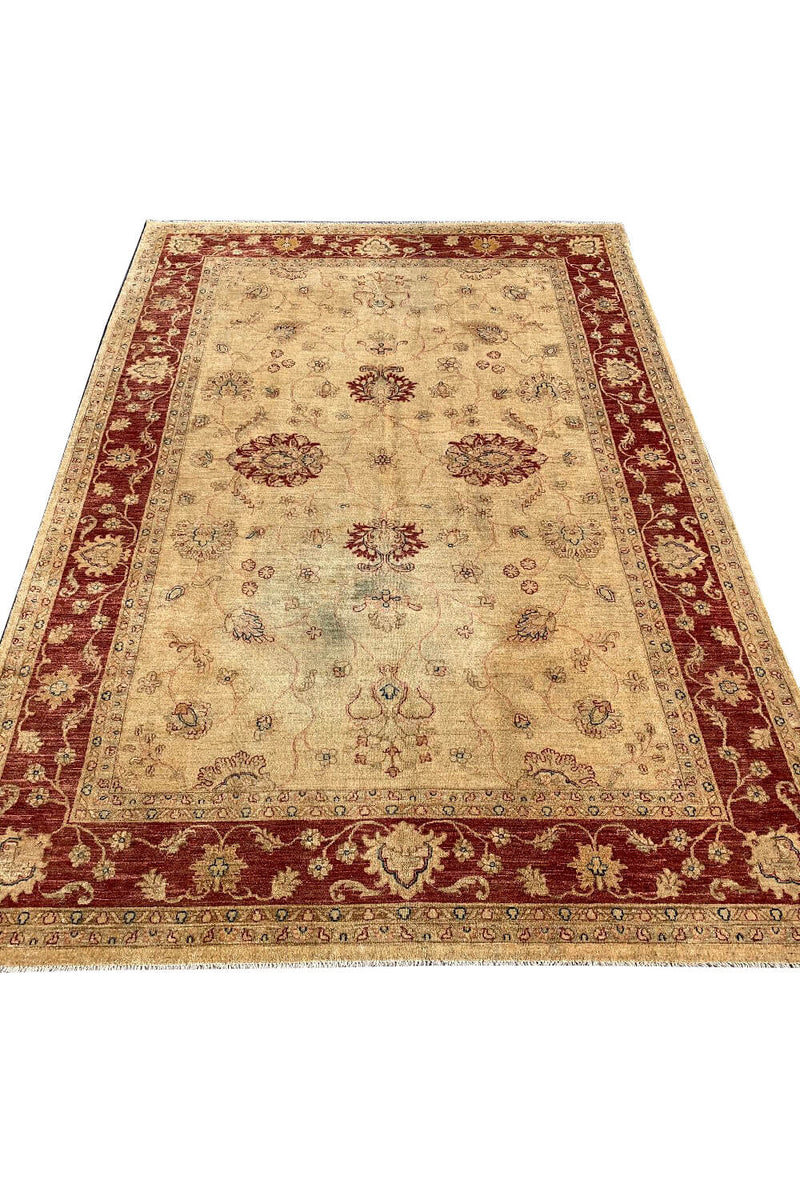 Authentic Hand Knotted Afghan Chobi Wool Area Rug 11.9 X 8.0 Ft (270 Ger)