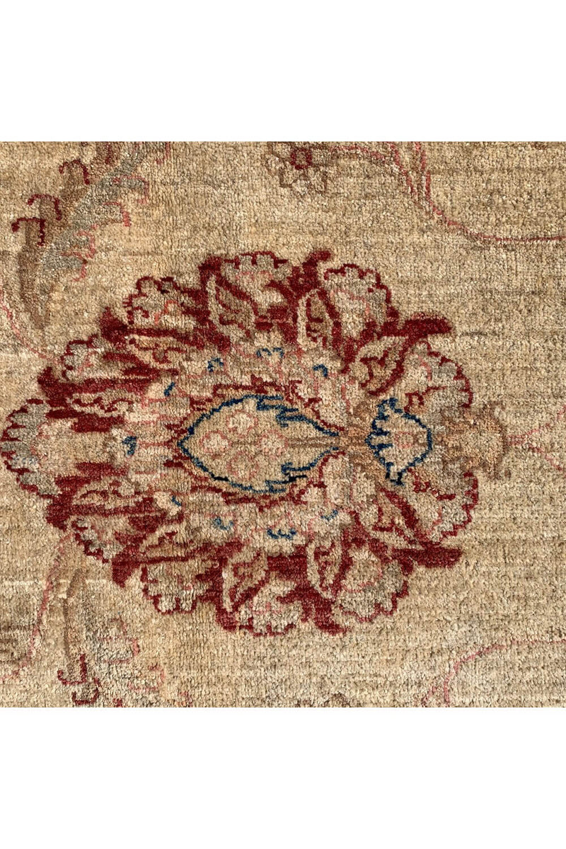 Authentic Hand Knotted Afghan Chobi Wool Area Rug 11.9 X 8.0 Ft (270 Ger)