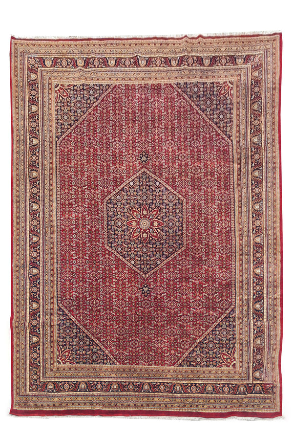 Authentic Hand Knotted Vintage Qashoun Wool Area Rug 12 x 9 Ft (1419 Ger-4)