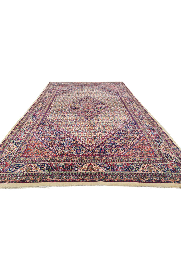 Authentic Hand Knotted Vintage Bijour Wool Area Rug 10.5 x 6.5 Ft (1443 Ger-4)