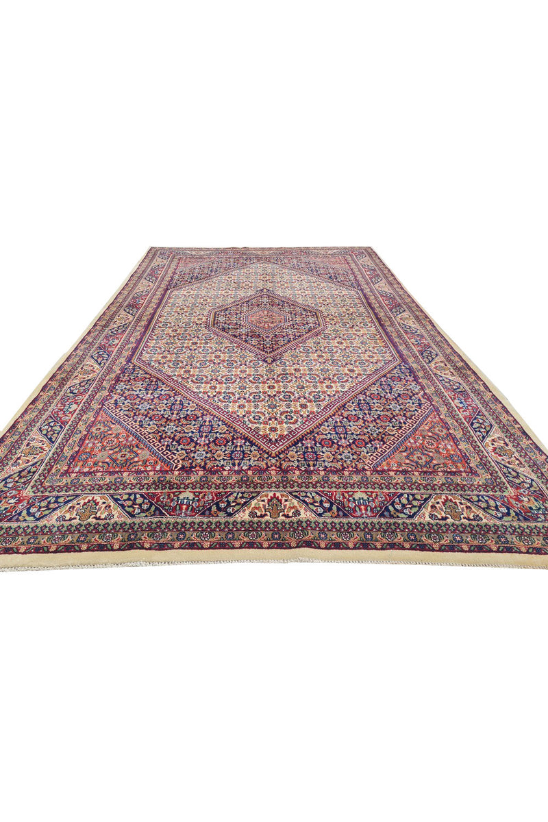 Authentic Hand Knotted Vintage Bijour Wool Area Rug 10.5 x 6.5 Ft (1443 Ger-4)