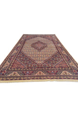 Authentic Hand Knotted Vintage Bijour Wool Area Rug 10.5 x 6.5 Ft (1443 Ger-4)
