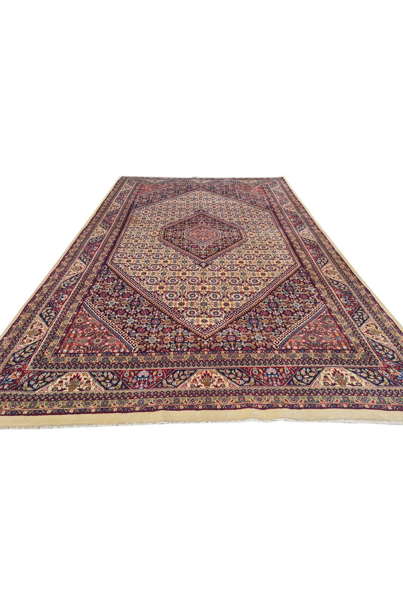 Authentic Hand Knotted Vintage Bijour Wool Area Rug 10.5 x 6.5 Ft (1443 Ger-4)