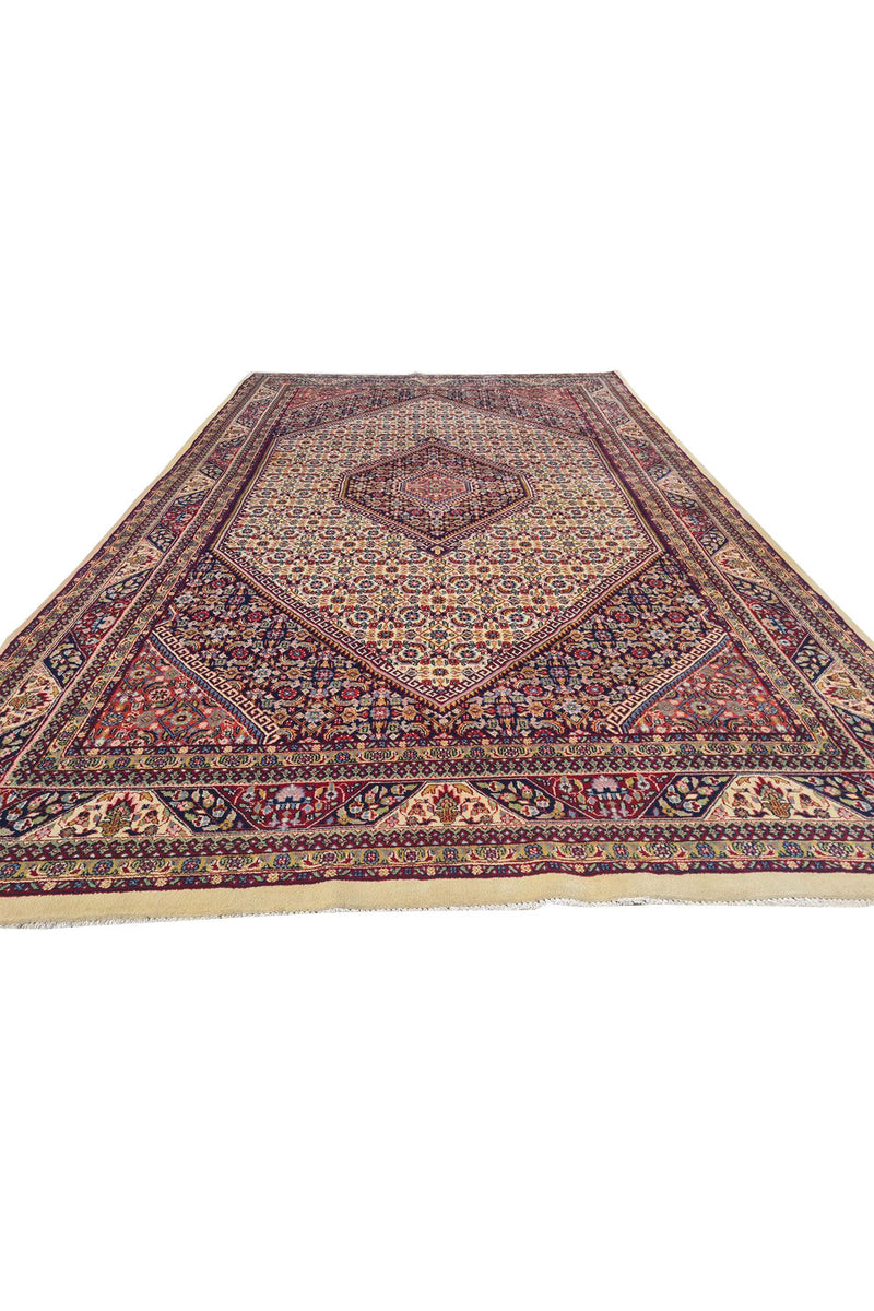 Authentic Hand Knotted Vintage Bijour Wool Area Rug 10.5 x 6.5 Ft (1443 Ger-4)