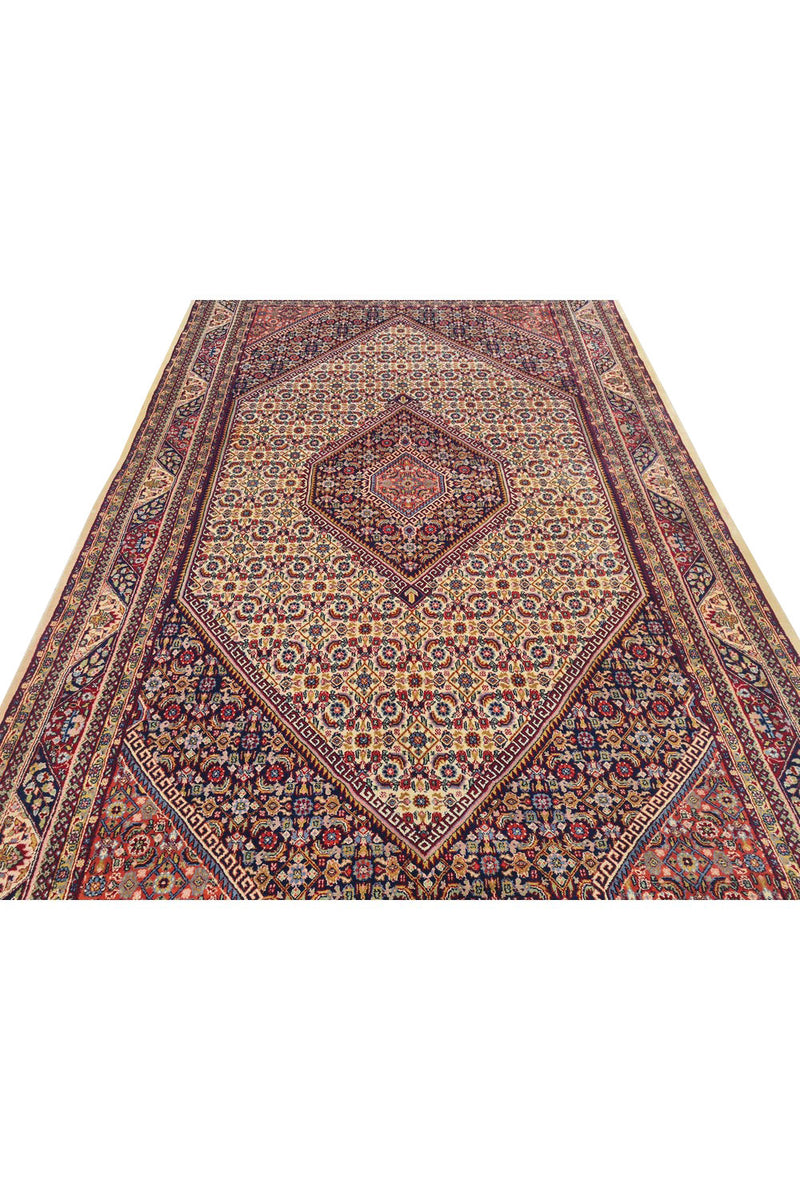 Authentic Hand Knotted Vintage Bijour Wool Area Rug 10.5 x 6.5 Ft (1443 Ger-4)