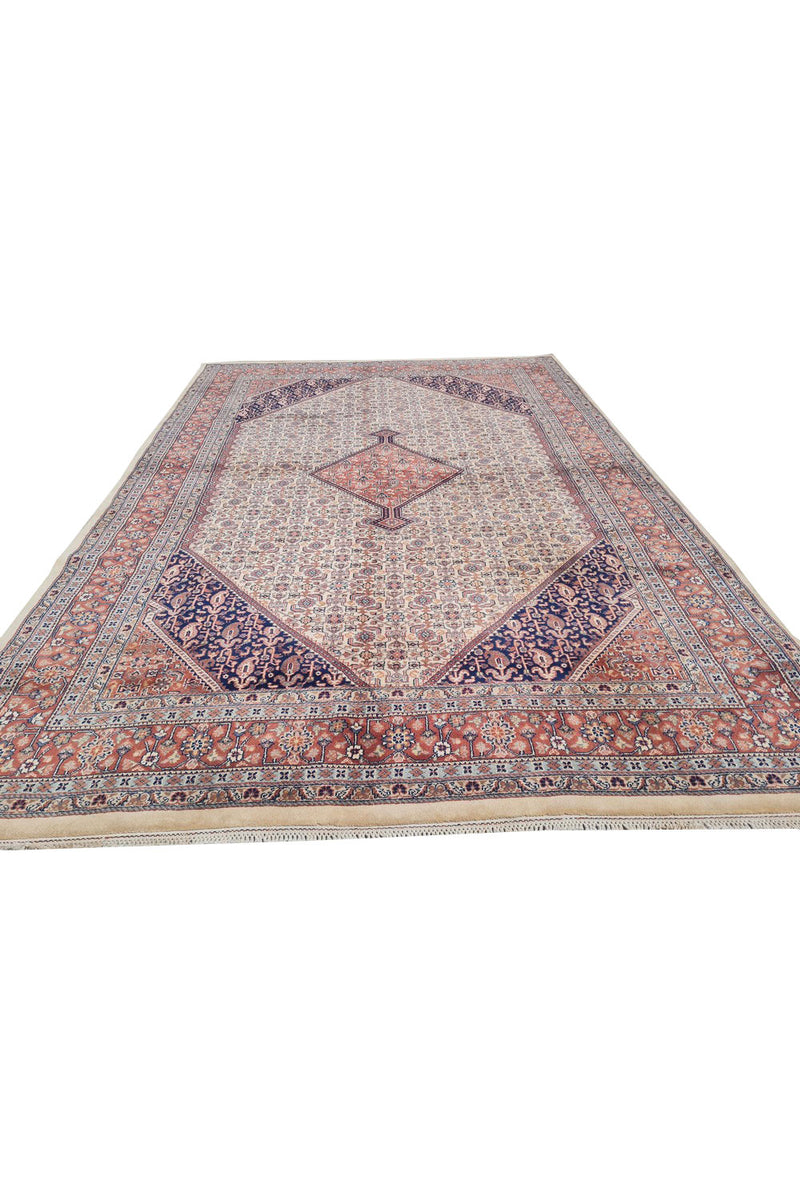 Authentic Hand Knotted Vintage Bijour Wool Area Rug 9.5 x 6.5 Ft (1444 Ger-4)