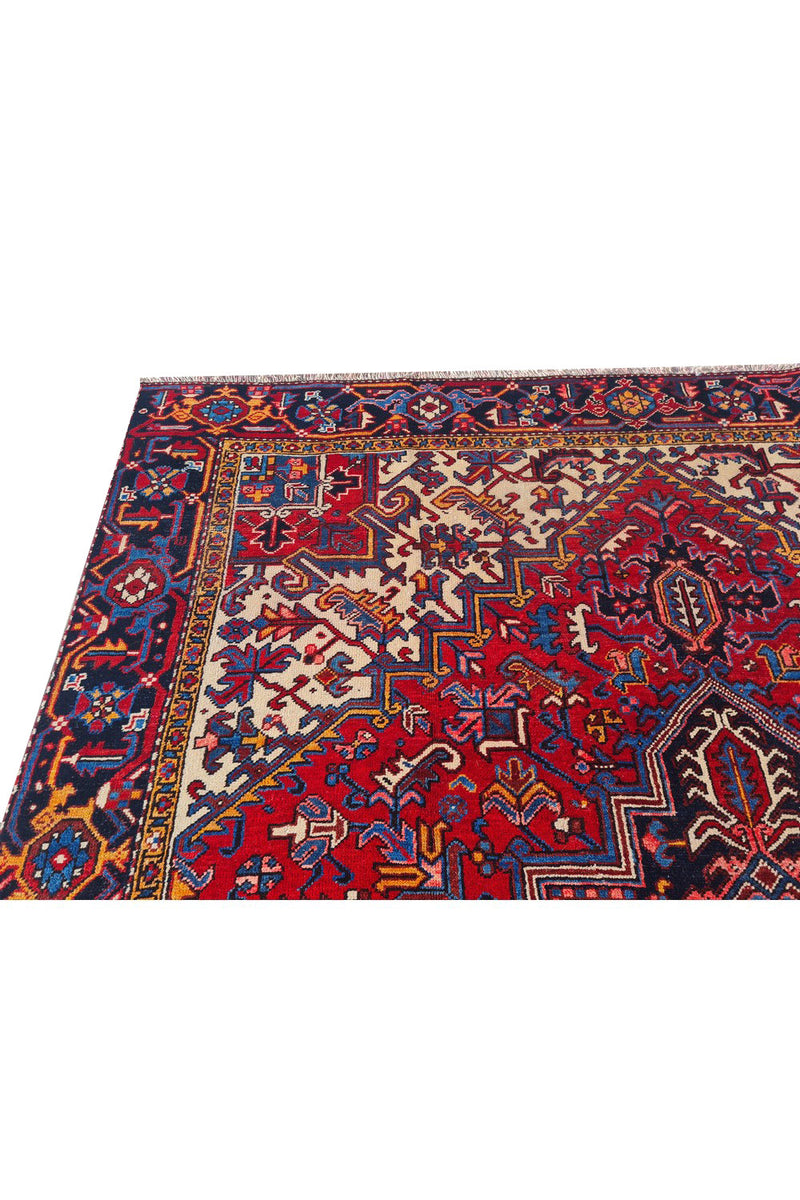 Authentic Hand Knotted Vintage Hareez Wool Area Rug 10.0 x 7.10 Ft (1499 Ger-4)