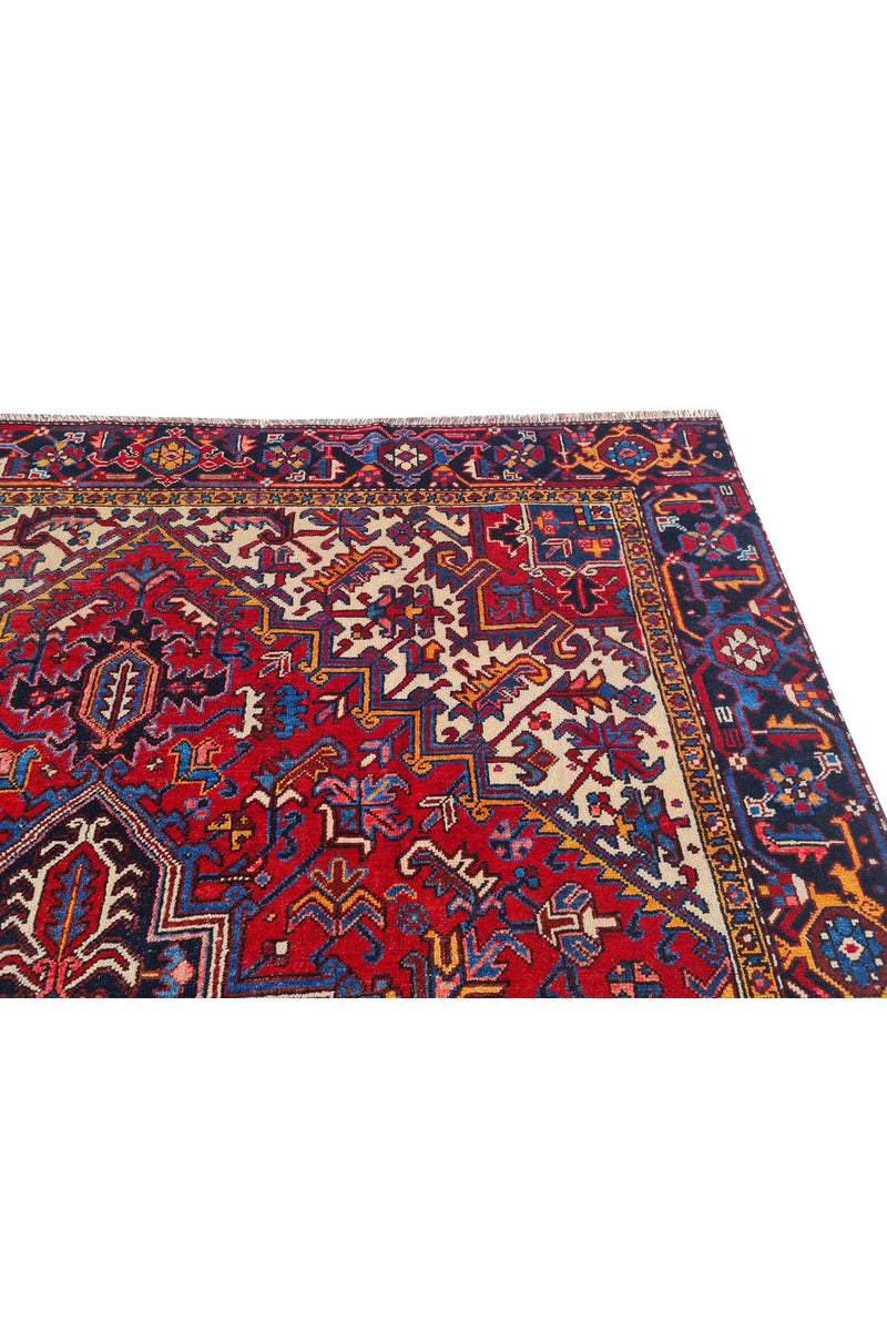 Authentic Hand Knotted Vintage Hareez Wool Area Rug 10.0 x 7.10 Ft (1499 Ger-4)