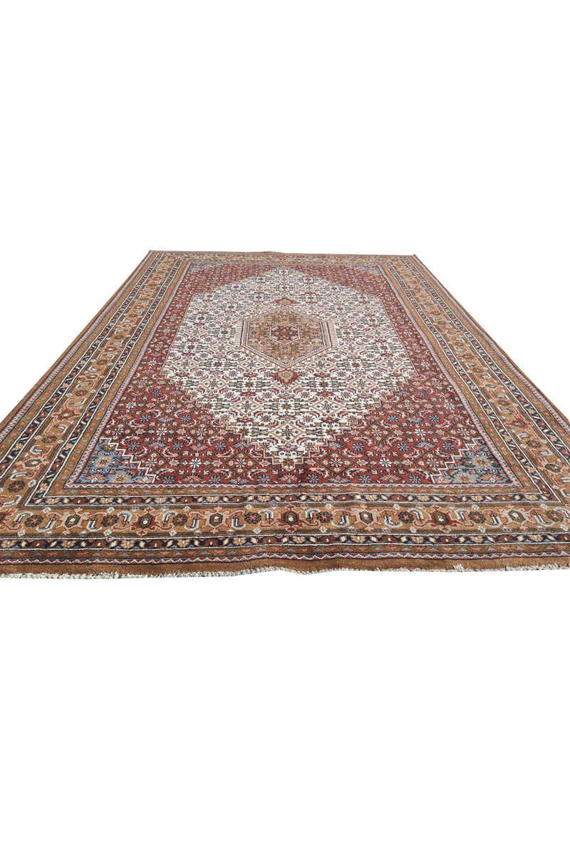 Authentic Hand Knotted Vintage Bijour Wool Area Rug 11.3 x 8.3 Ft (1560 Ger-4)