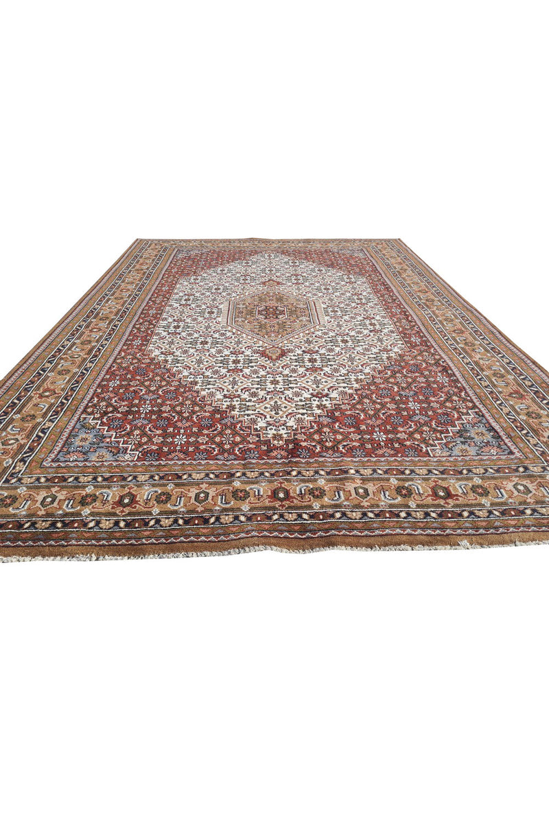 Authentic Hand Knotted Vintage Bijour Wool Area Rug 11.3 x 8.3 Ft (1560 Ger-4)