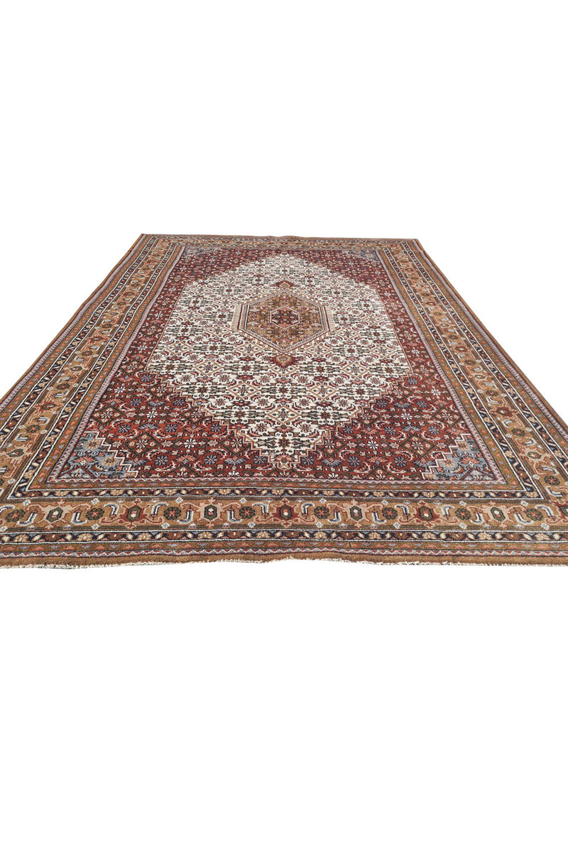 Authentic Hand Knotted Vintage Bijour Wool Area Rug 11.3 x 8.3 Ft (1560 Ger-4)