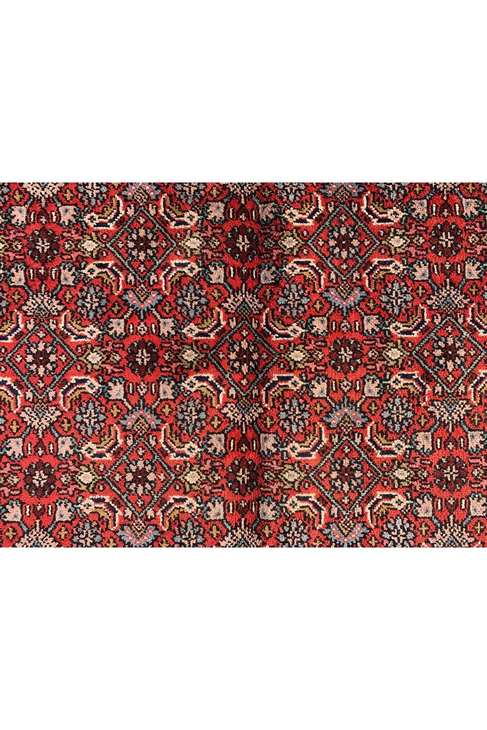 Authentic Hand Knotted Vintage Bijour Wool Area Rug 11.7 x 8.0 Ft